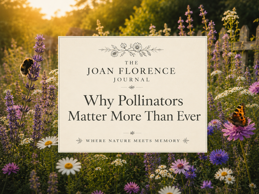 Why Pollinators Matter More Than Ever